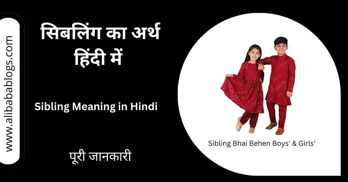 Sibling Meaning in Hindi