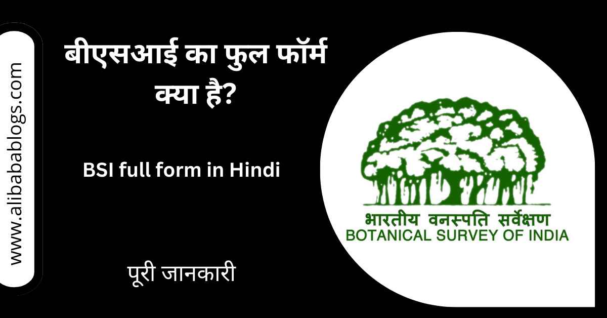 BSI Full Form in Hindi